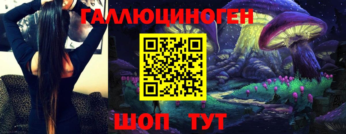 Псилоцибиновые грибы Cubensis Нальчик